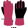 Guanti da Sci imbottiti Z28R